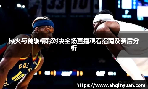 热火与鹈鹕精彩对决全场直播观看指南及赛后分析