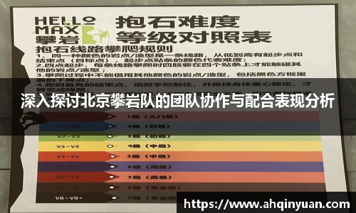 JJB电竞官网